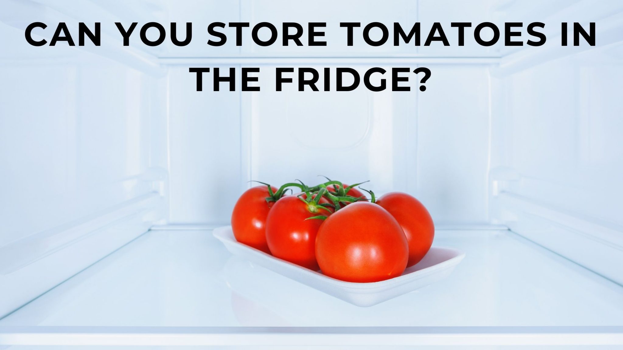 Can you store tomatoes in the fridge? FOODANDKITCHENAPPLIANCES