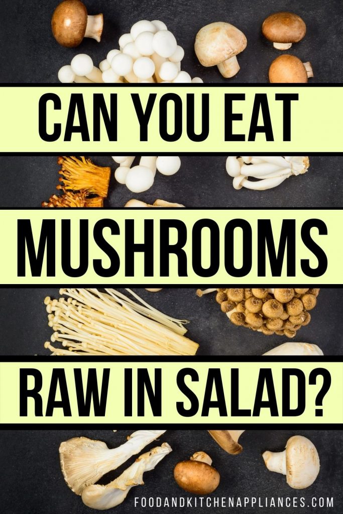 can you eat mushrooms raw in salad?