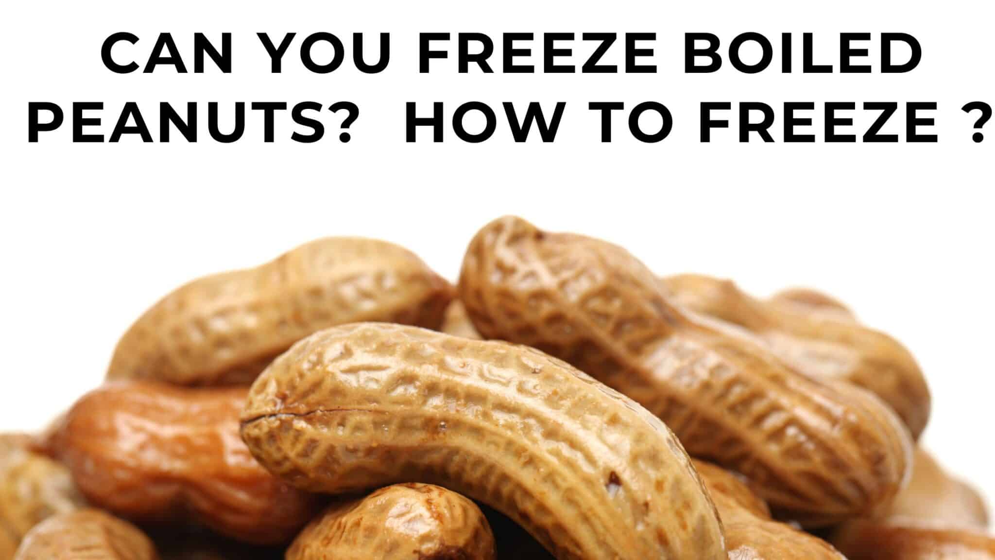 Can you freeze boiled peanuts? How to freeze? FOODANDKITCHENAPPLIANCES