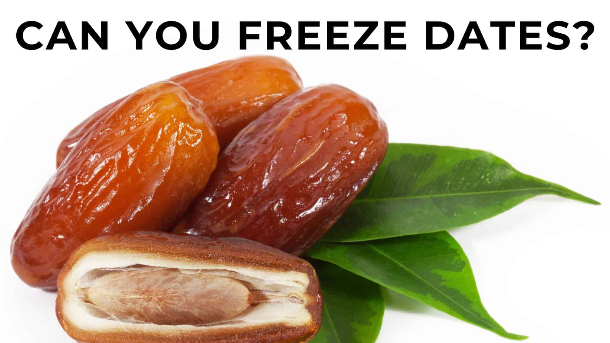 can-you-freeze-the-dates-the-pros-and-cons-of-freezing-dates