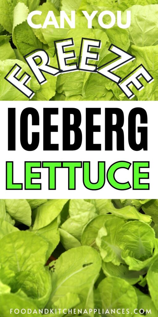 Can you freeze iceberg lettuce