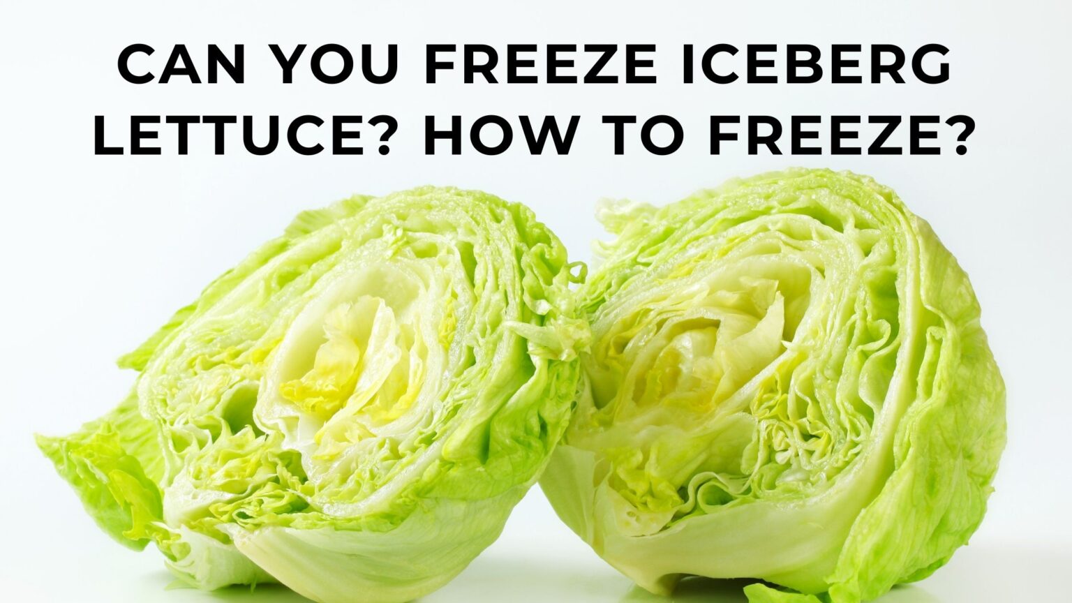 Can You Freeze Iceberg Lettuce? How To Freeze? - FOODANDKITCHENAPPLIANCES