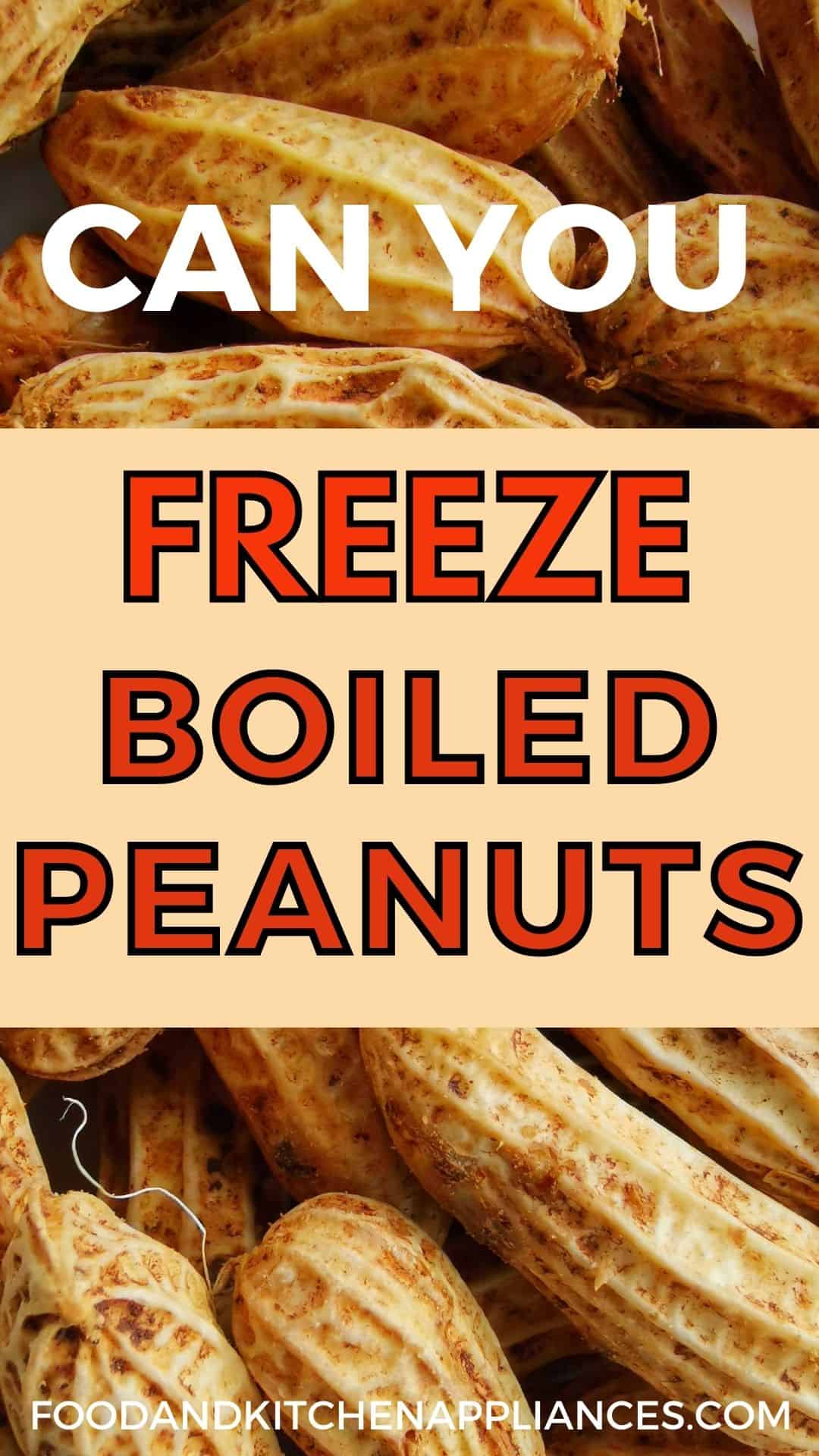 Can you freeze boiled peanuts? How to freeze? FOODANDKITCHENAPPLIANCES