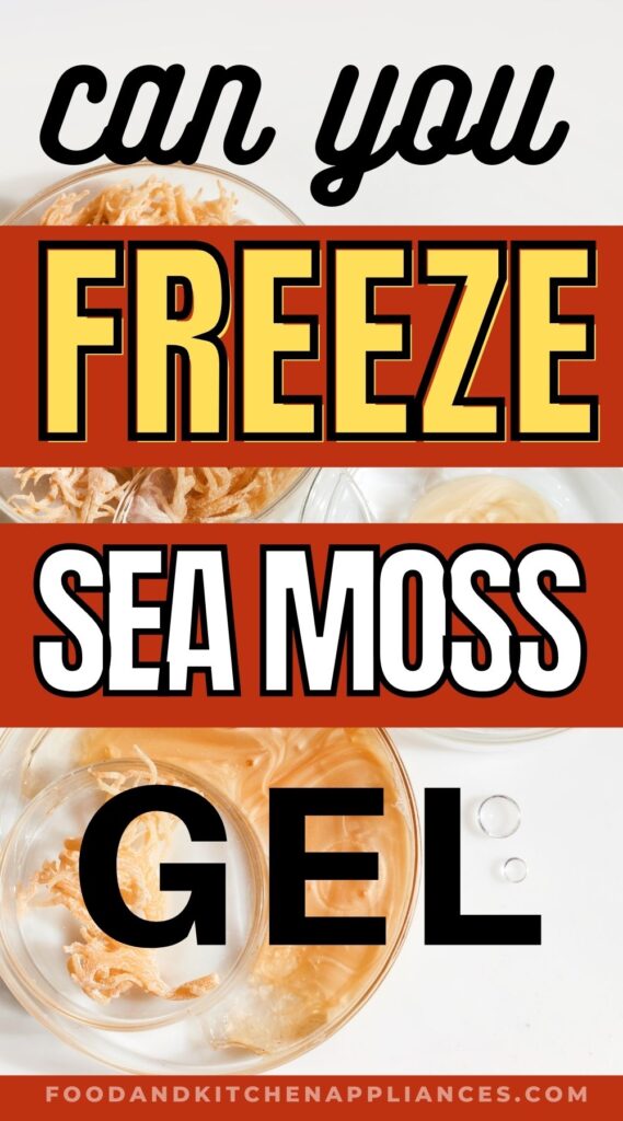 can you freeze sea moss gel