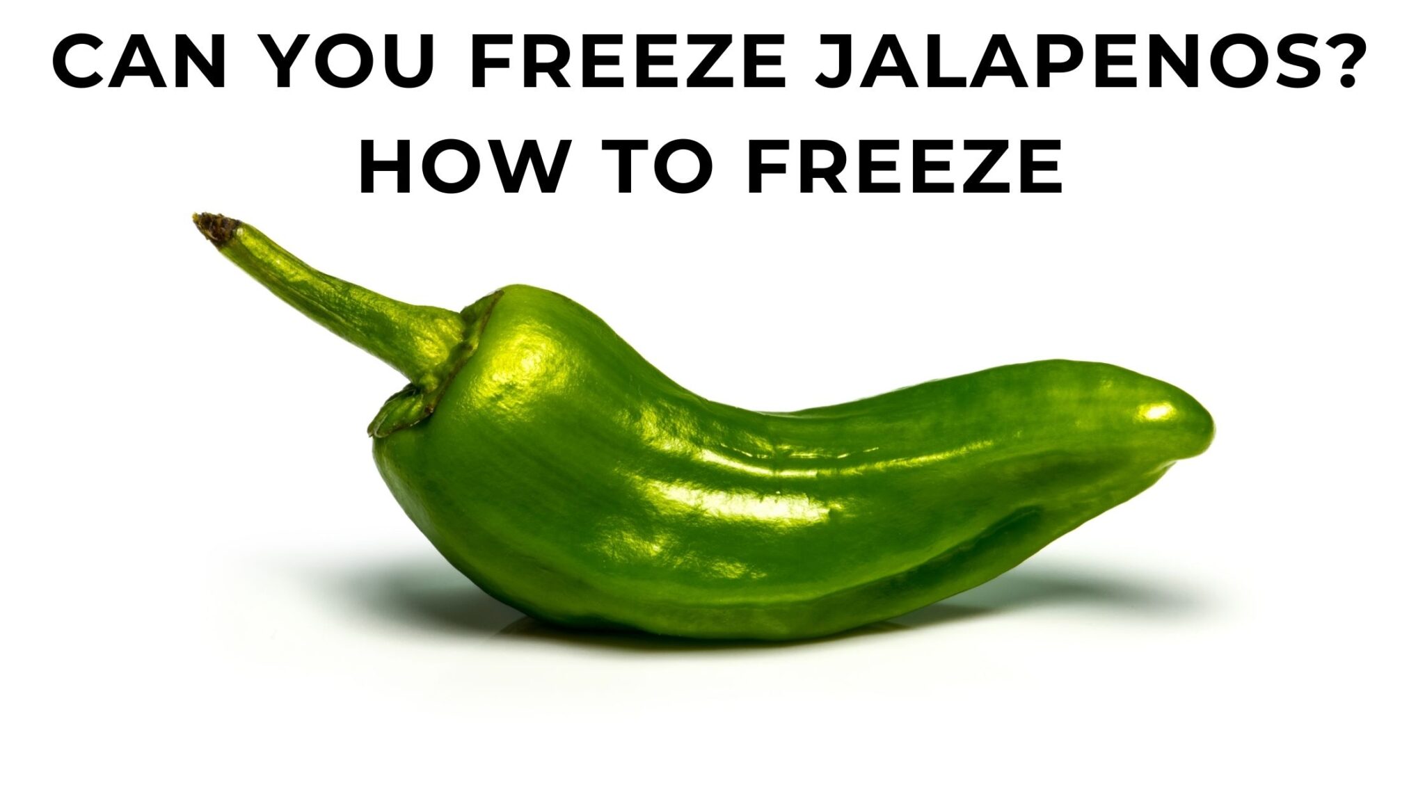 Can You Freeze Jalapenos How To Freeze Jalapenos And The Pros And Cons Foodandkitchenappliances