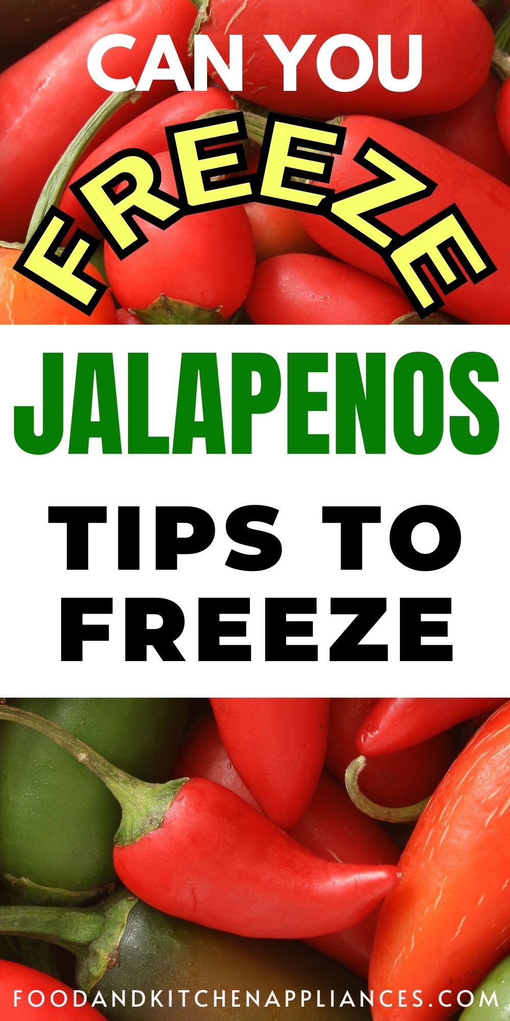 Can you freeze Jalapenos? How to Freeze Jalapenos and the Pros and Cons