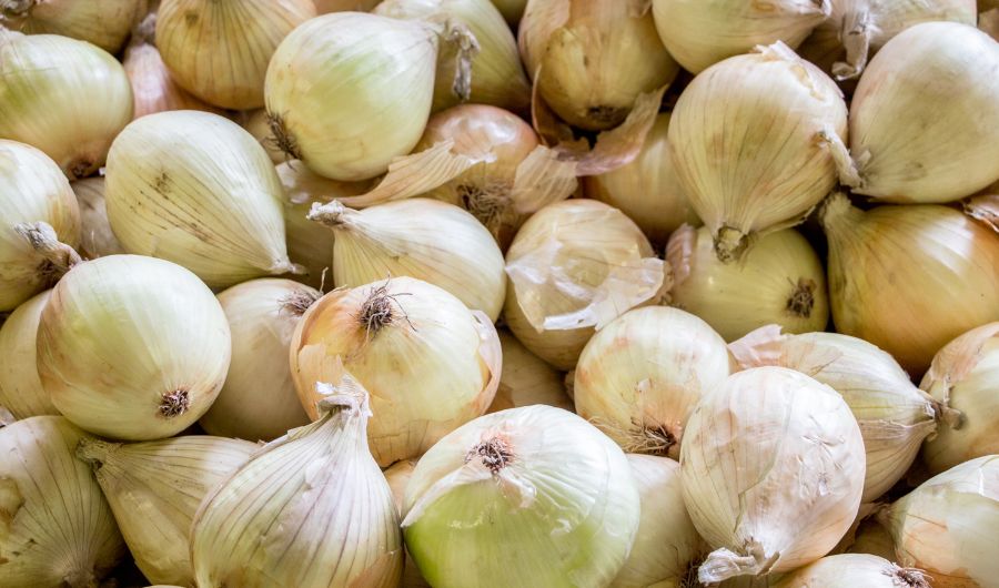 best Vidalia onions substitute