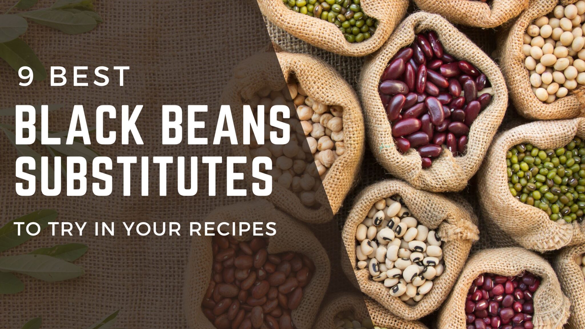 Best substitutes for black beans 9 alternatives FOODANDKITCHENAPPLIANCES