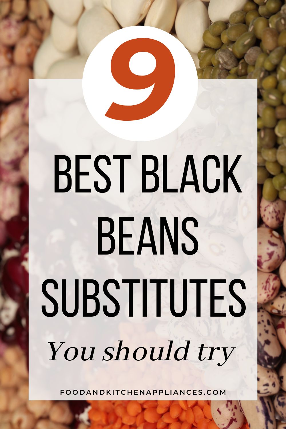 Best substitutes for black beans 9 alternatives FOODANDKITCHENAPPLIANCES
