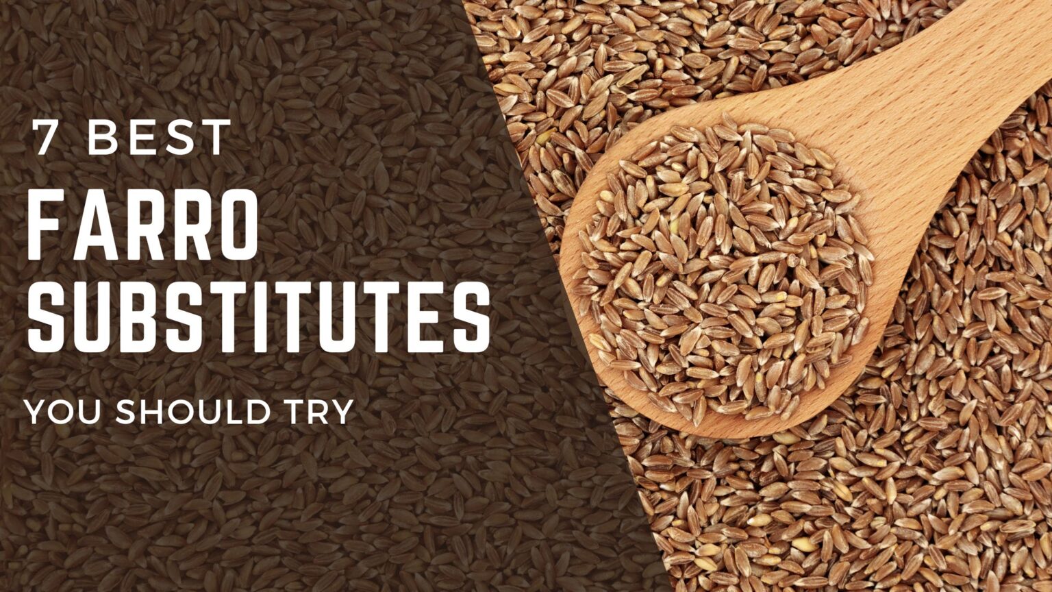 Best Farro Substitutes for Your Healthy Recipes FOODANDKITCHENAPPLIANCES