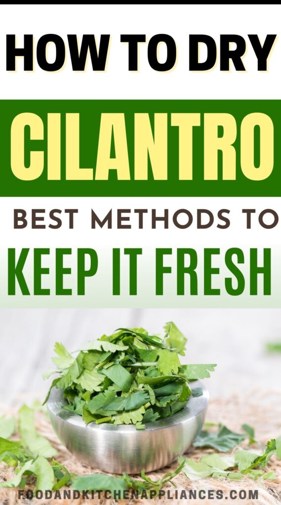 How to dry cilantro