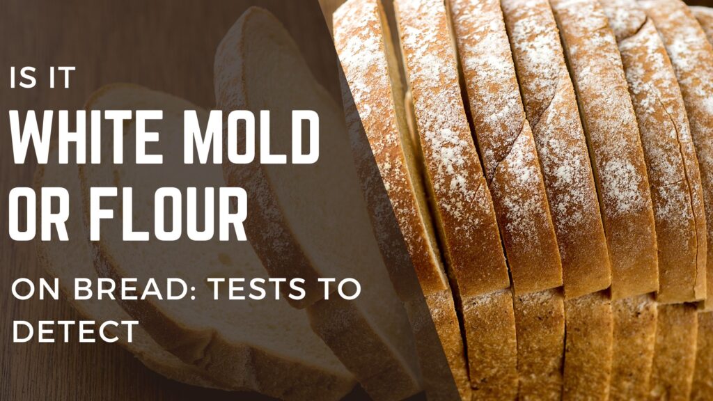 white mold or flour on bread
