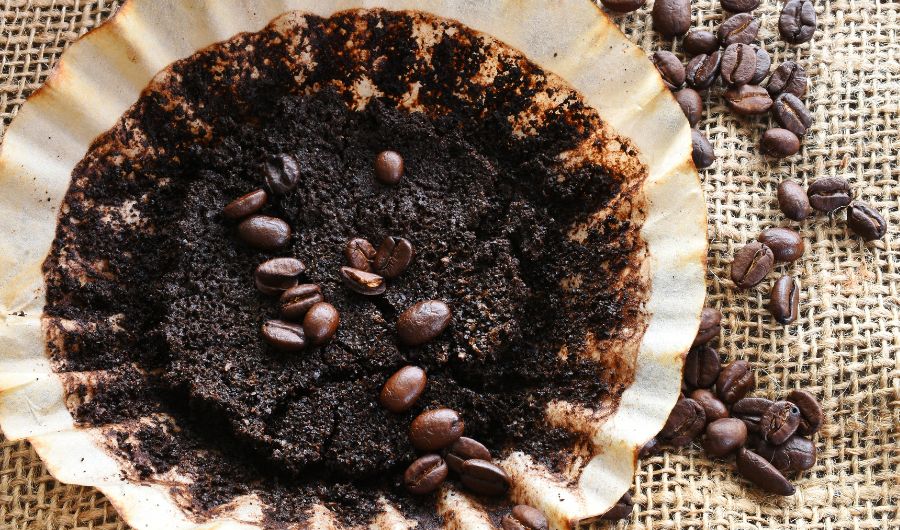 How to Dry Used Coffee Grounds in the Microwave