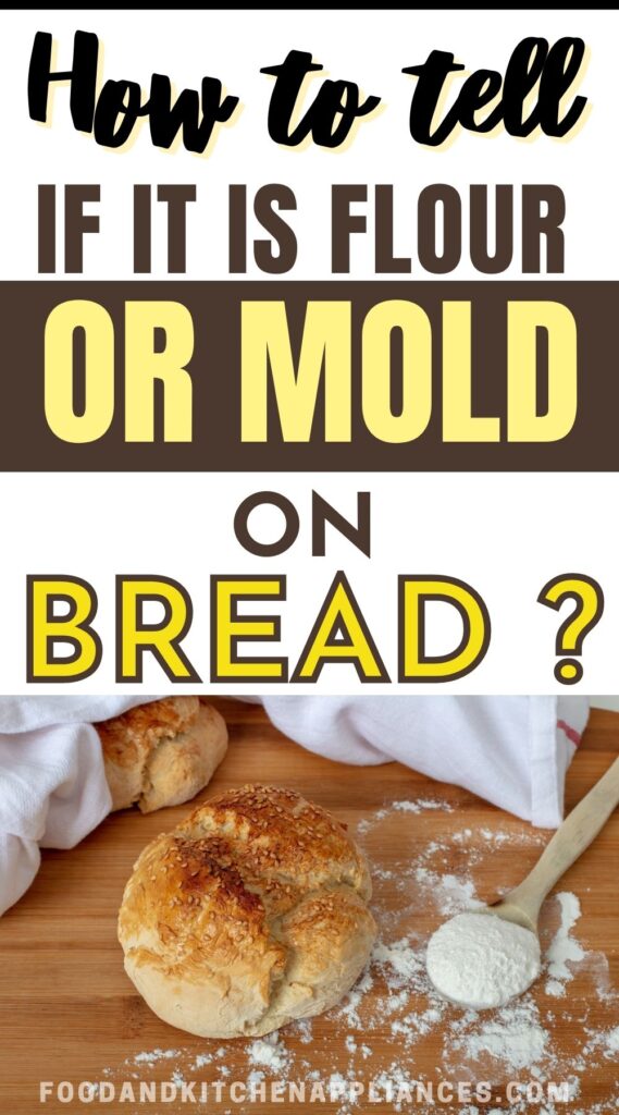 white mold or flour on bread