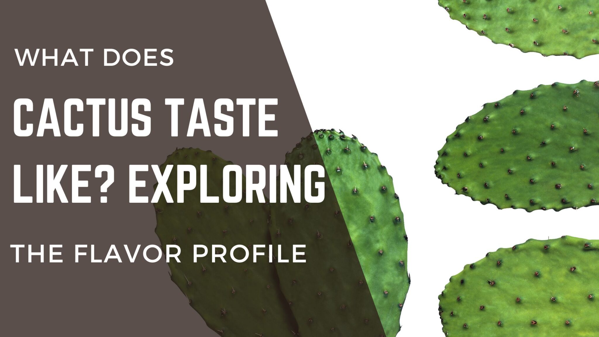 What Does Cactus Taste Like? Exploring the Flavor Profile of This Unique Plant