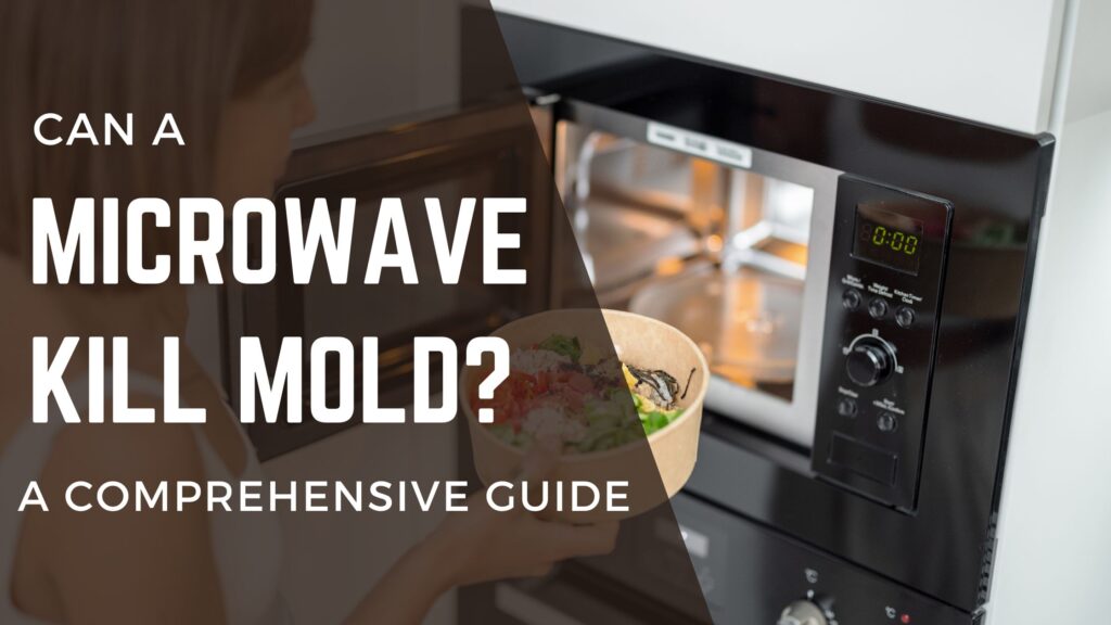 Can microwave kill mold