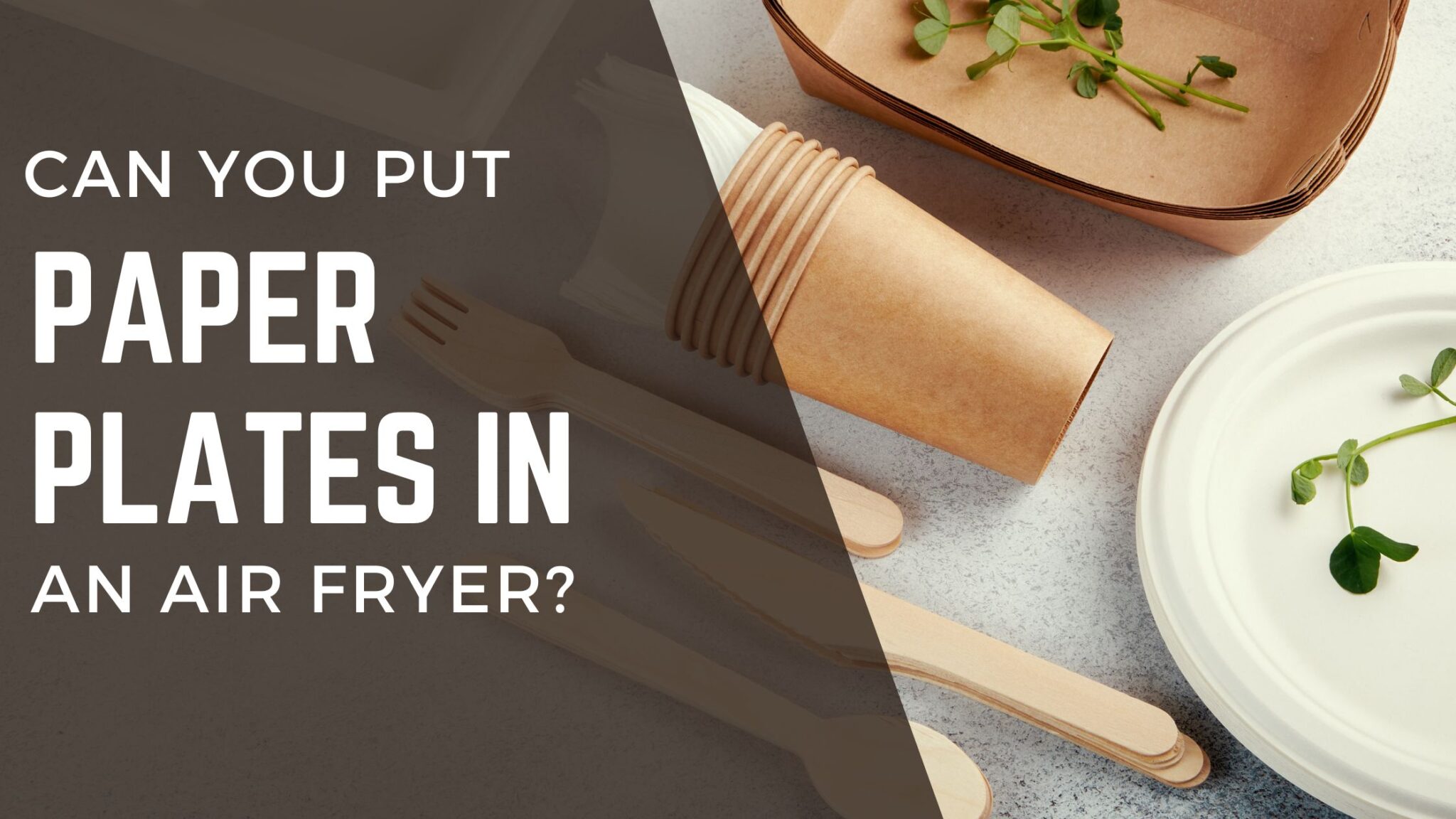 Can You Put Paper Plates in Air Fryer? Tips and Precautions